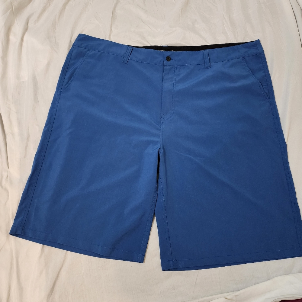 Wailoa Men's Shorts